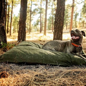 LARGE DOG BED 50x38 Feather-Top Soft Pet Bed With Waxed Canvas Cover Wool Filled Insert Small Dog Bed Size Available Too image 3