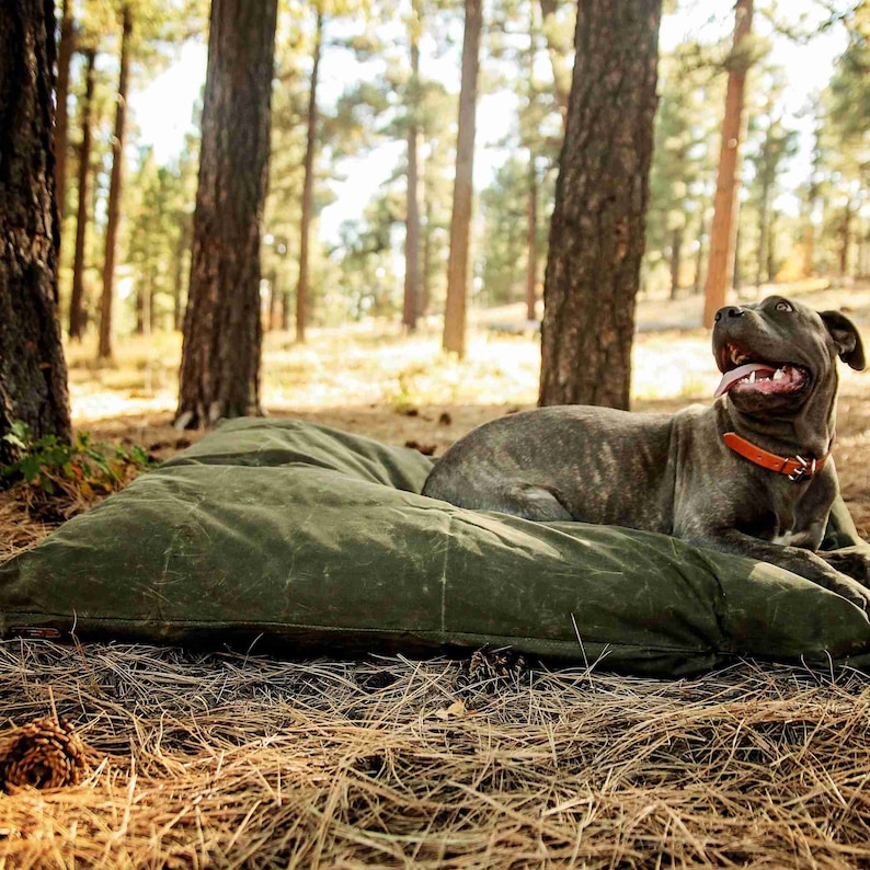 Op de afbeelding: Een rechthoekig olijfgroen hondenbed met een getextureerd, verweerd stoffen oppervlak. Een gestroomde hond met een feloranje halsband ligt op het bed en kijkt omhoog met de bek open, waarbij de tong en tanden in een ontspannen uitdrukking zichtbaar zijn.