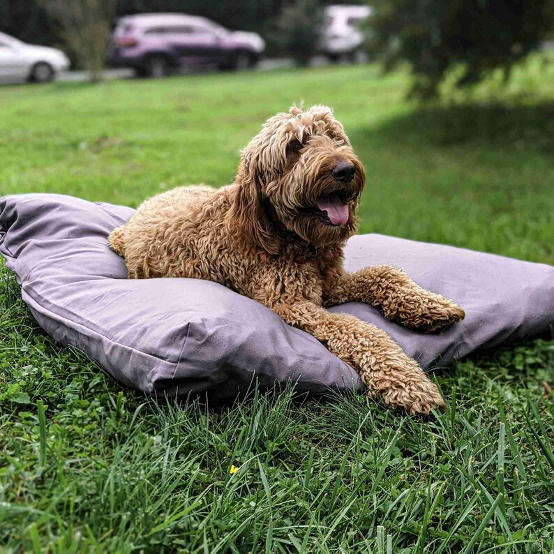 LARGE DOG BED up to 50x38 Unique Pet Bed With Etsy