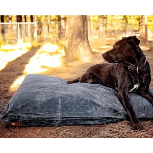 LARGE DOG BED 50x38 Feather-Top Soft Pet Bed With Waxed Canvas Cover Wool Filled Insert Small Dog Bed Size Available Too image 2