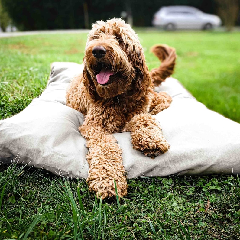 LARGE DOG BED 50"x38" | Feather-Top Soft Pet Bed With Cotton Canvas Cover | Wool Filled Insert | Machine Washable | Small Dog Bed Sizes immagine 1