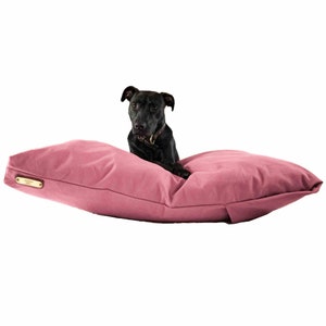 Pu&ograve; includere: Un cane nero con un collare marrone riposa su una grande cuccia rettangolare per animali di colore rosa polvere. La cuccia presenta una piccola etichetta rettangolare in pelle marrone con una placca metallica dorata con testo visibile.