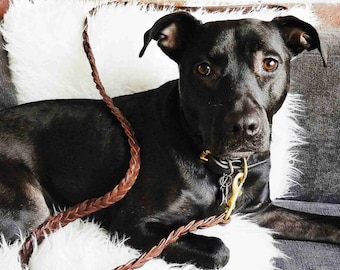THE MADELINE - Hand-Braided Dog Leash | Dog Lead | Braided Leather Crafted with Premium Bridle Leather | Traffic Leash Lengths Available