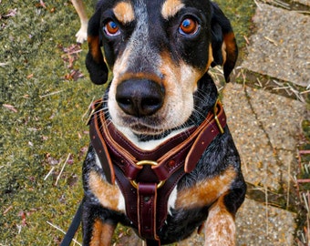 THE ABRAHAM - Hand-Crafted Leather Y-Harness for Dogs | Sheepskin Lined with Supple Bridle Leather | Adjustable Dog Harness for Large Breeds