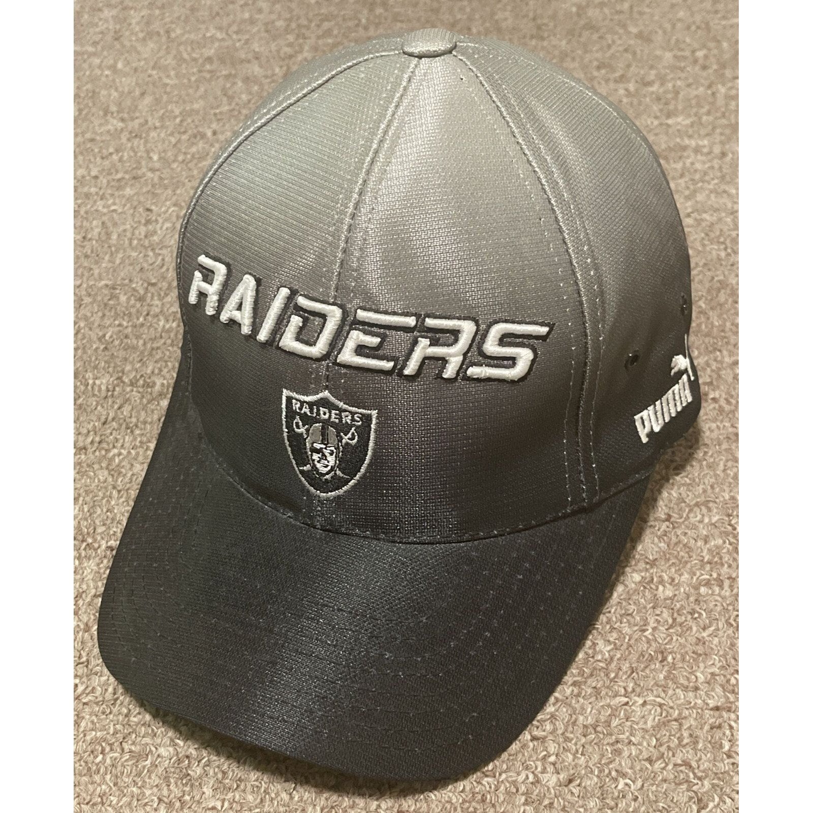VTG 90s Oakland Raiders Apex One NFL Football Snapback Hat