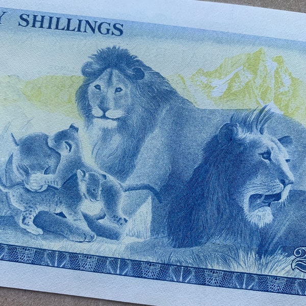 Kenya 20 Shilling Banknote. Kenyan Currency. Paper Money. 1978 Mzee Jomo Kenyatta at left. Back, Lions. Watermark: Lion's head. Animal Note