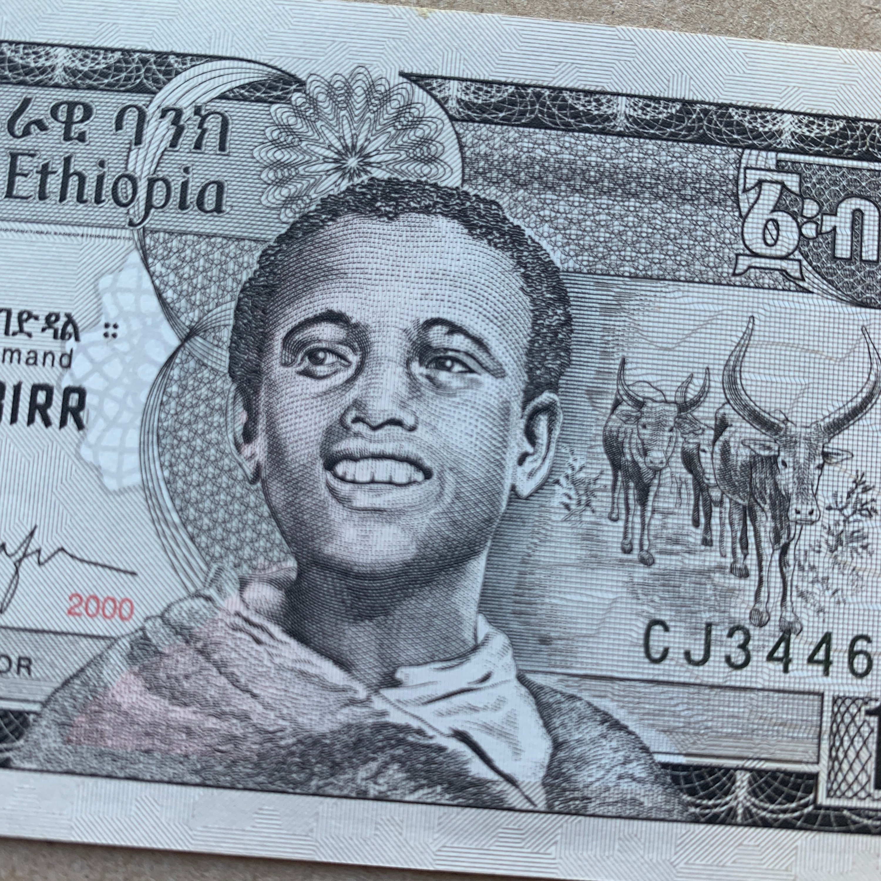 Ethiopian Birr Banknote. Ethiopia Currency. Notes, Bills