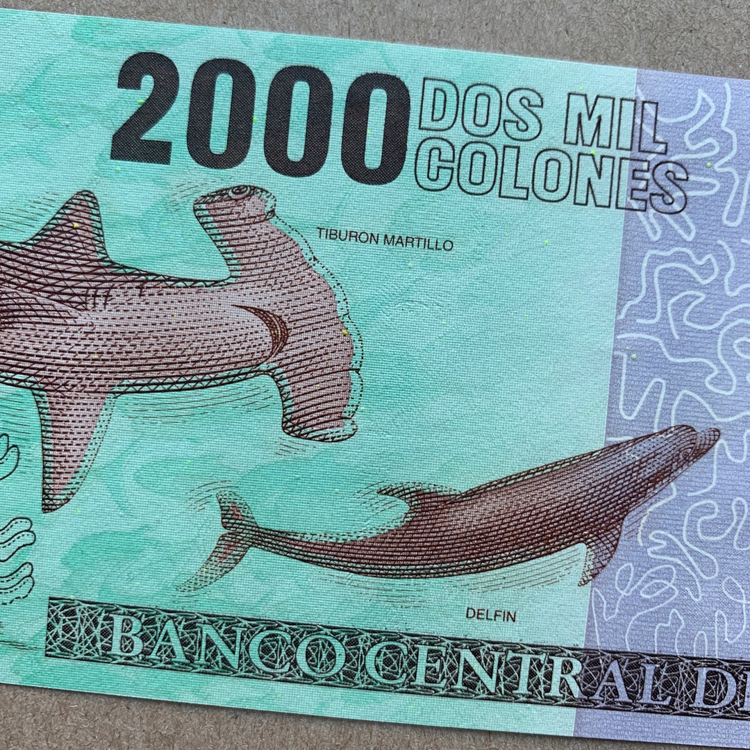 Costa Rican 2000 Colones Banknote. Costa Rica Currency. C. Etsy