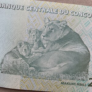 Löwenfamilie Banknote. Kongo 20 Franken Währung. Kongolesisches Papiergeld. Männlicher Löwenkopf links. Rückseite: Löwin liegend mit zwei Jungen in der Mitte.