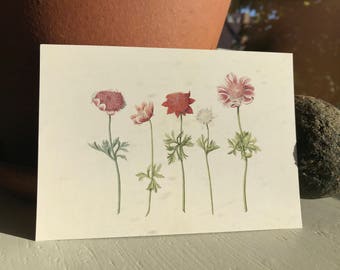 postcard flowers anemones, painting, garden