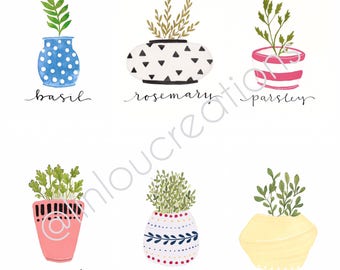 Culinary Herbs Sets of 3 and 6