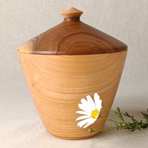 Macrocarpa Wooden Keepsake Box (Lidded Pot, Salt Pot, Pepper Pot or Spice Pot) - made from salvaged timber.