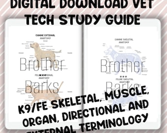 Vet Anatomy Guide, Canine Feline Anatomy Bundle (Digital Download)