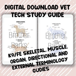 DIGITAL DOWNLOAD Canine/feline Anatomy BUNDLE External Muscle