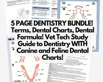 Vet Tech Canine Feline Dentistry Study Guide, Dental Charts (Digital Download)