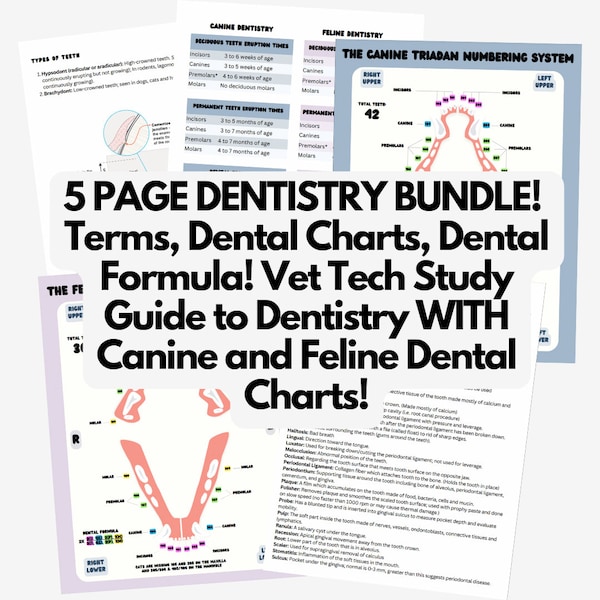 DENTISTRY BUNDLE! Terms, Dental Charts, Dental Formula! Vet Tech Study Guide to Dentistry WITH Canine and Feline Dental Charts!