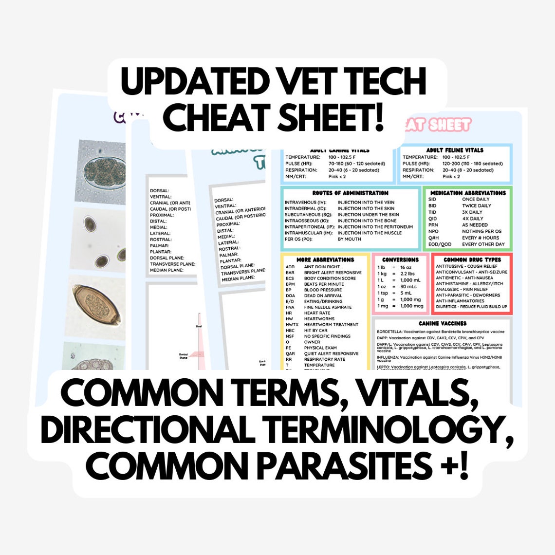 DIGITAL DOWNLOAD - Updated Vet Tech Cheat Sheet! Common Terms, Vitals ...