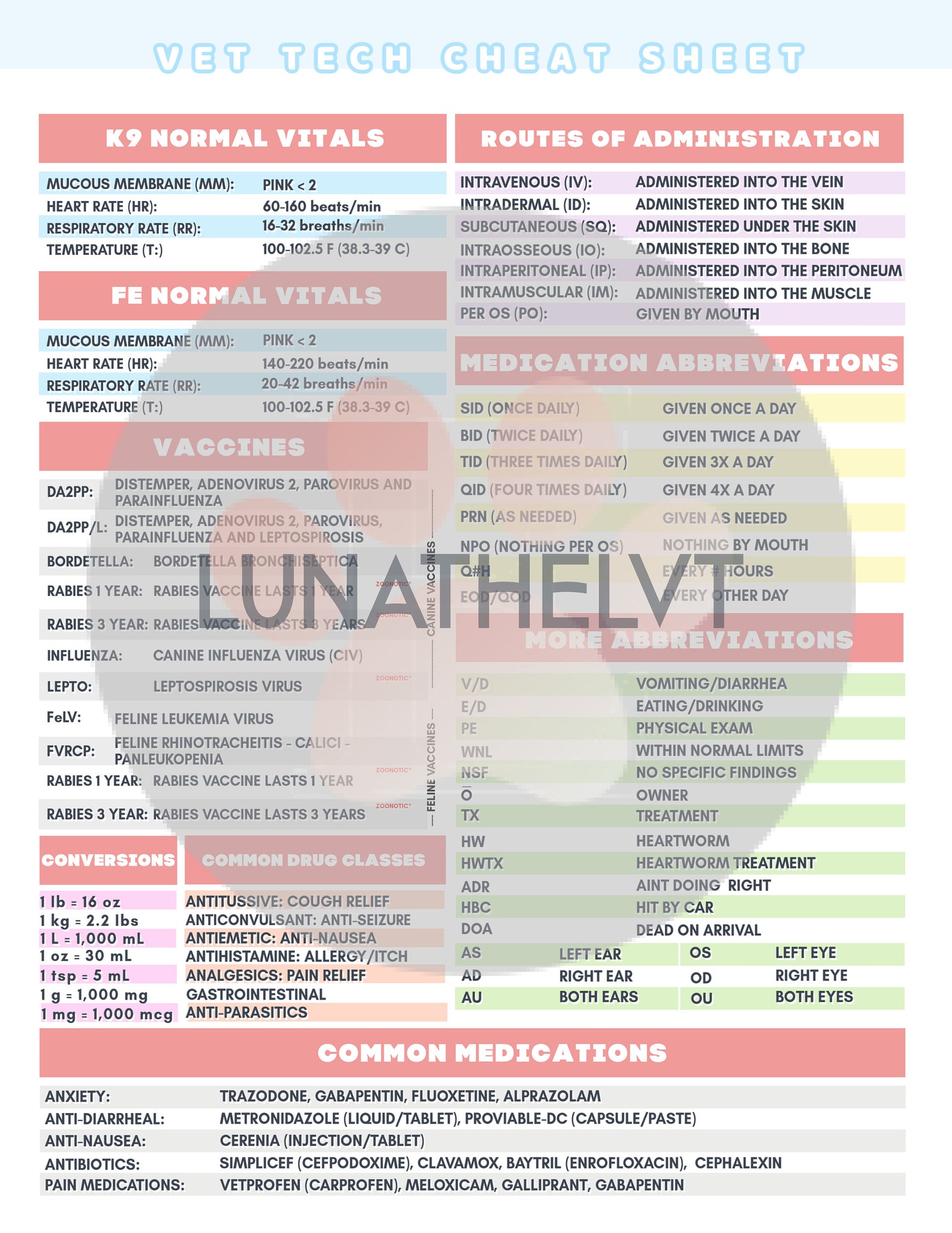 Veterinary Technician/veterinary Assistant Cheat Sheet. Etsy