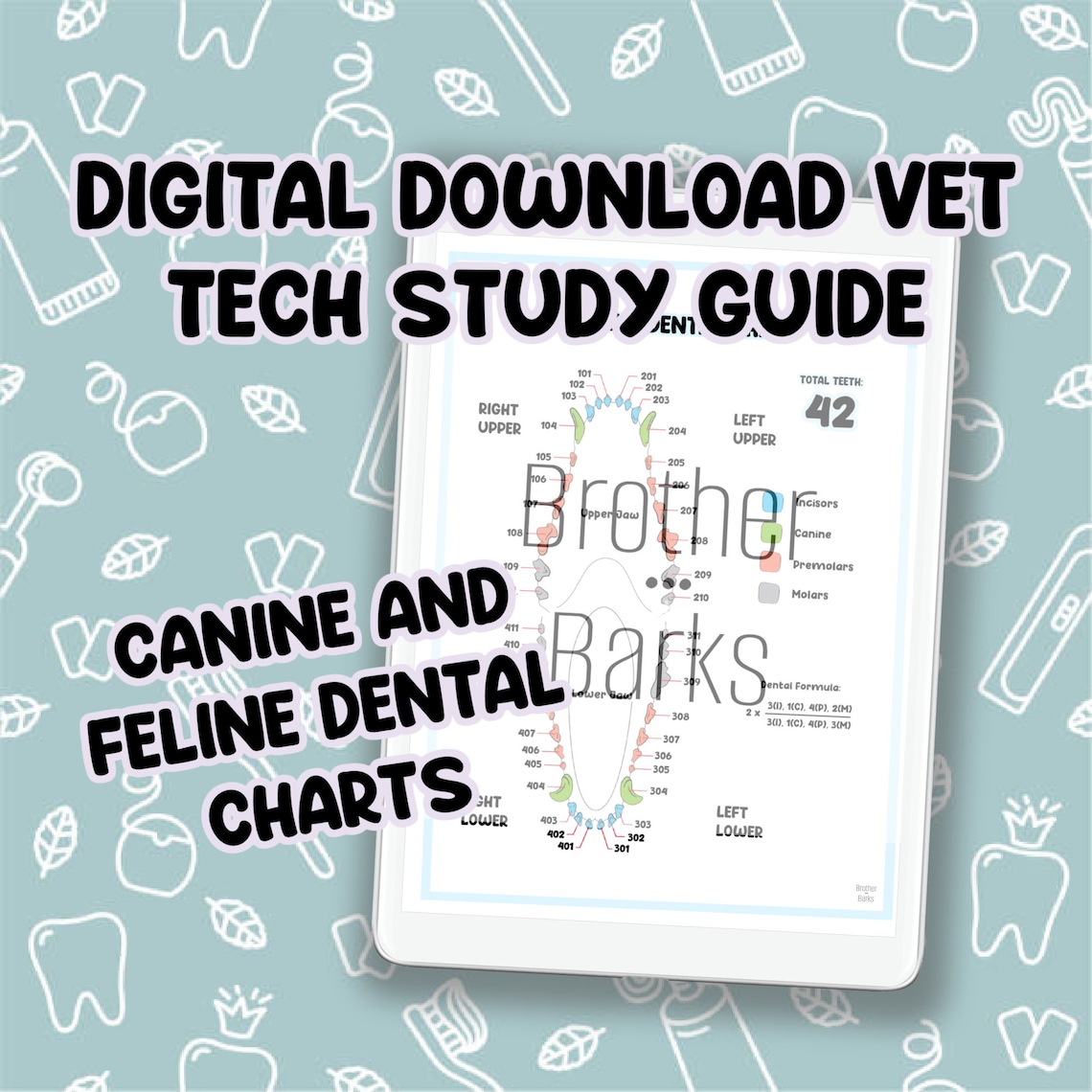 DIGITAL DOWNLOAD Canine AND Feline Dental Chart Printable - Etsy