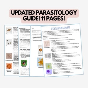 Guide de parasitologie MIS À JOUR ! Guide de 11 pages pour les techniciens vétérinaires, VTNE, Vet Tech Guide, Médecine vétérinaire, Guide d'étude des parasites, Vétérinaire