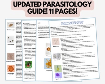 Veterinary Parasitology Guide, Vet Tech Study Aid (Digital Download)