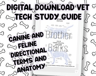 Veterinary Directional Terms Etsy