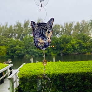 Cat Ornament