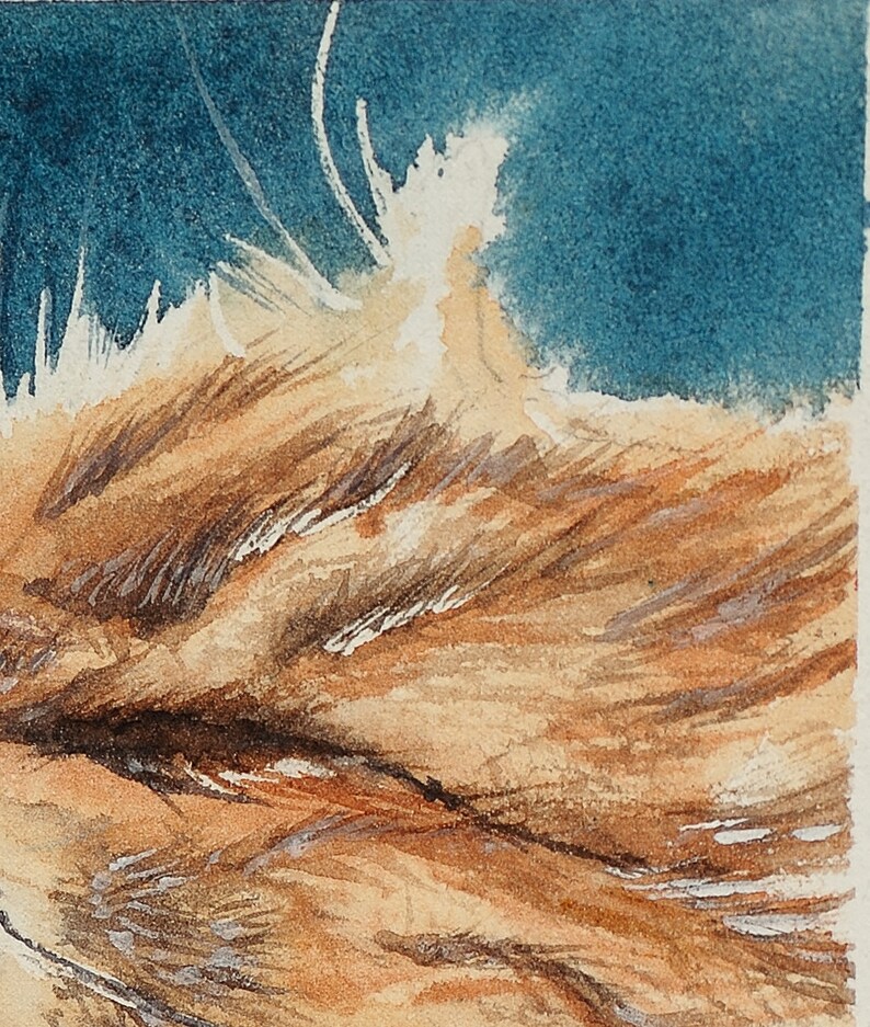 May include: Close-up of a watercolor painting of a cat's fur. The fur is a mix of light brown, tan, and white, with some darker brown accents. The background is a deep blue.