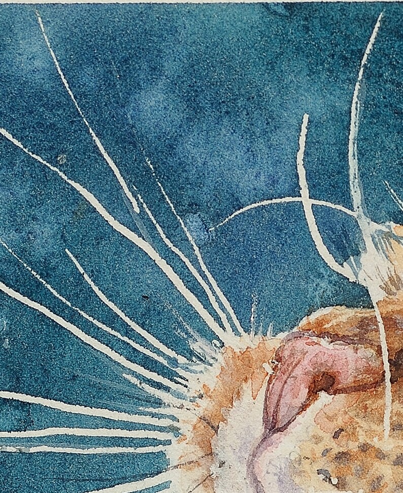 May include: Close-up of a cat's face with white whiskers against a blue watercolor background. The cat's tongue is sticking out and its eyes are closed.