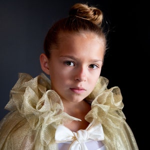 Gold tulle cape, taffeta bow image 6