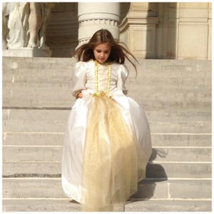 Robe Couleur de Soleil en taffetas et tulle or, deguisement de luxe pour fille image 2