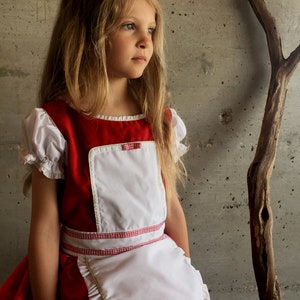 May include: A red and white dress with a matching apron. The dress has short, puffy sleeves and a square neckline. The apron is white with a ruffled edge and a gold trim. A red and white checkered ribbon accents the waist.