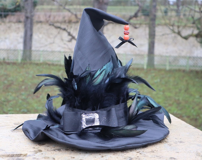 Crazy feather witch hat