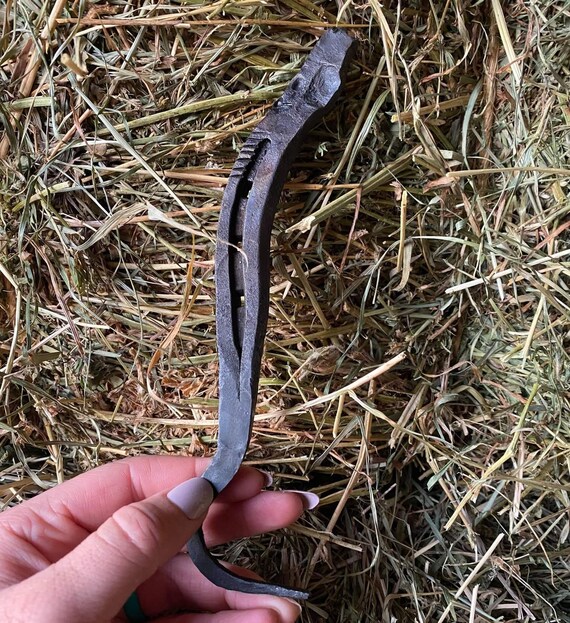 Horseshoe Hoof Pick Etsy