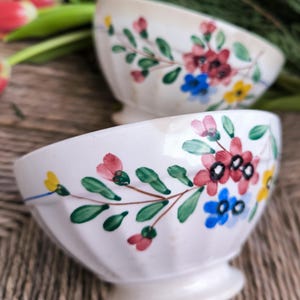 Französische antike Digoin et Sarreguemines Blumen-Latte-Schalen, bunte Blumen-Kaffeeschalen, antike französische COLLECTION-Kaffeeschale