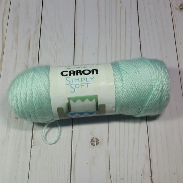 Caron Simply Soft Soft Green Yarn / Lot WW124186 / Yarn Destash / Full Skein