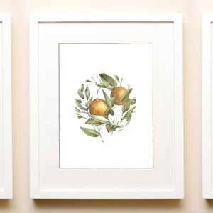 Fruit Series, Blueberries on Watercolor Print Original available Series triple