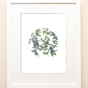 Fruit Series, Blueberries on Watercolor – Print (Original available)
