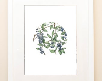 Fruit Series, Blueberries on Watercolor – Print (Original available)