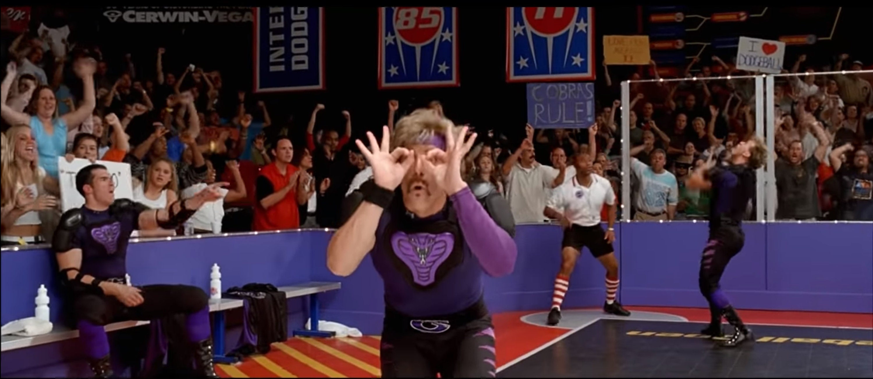 Dodgeball Costume average Joes purple cobras halloween Etsy