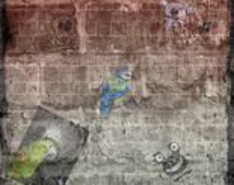 Brick Wall Graffiti Art: Skull, Frog, Koala Bear Design (Digital Artwork)