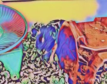 Colorful Hamster Art: Pet Rodent Digital Drawing