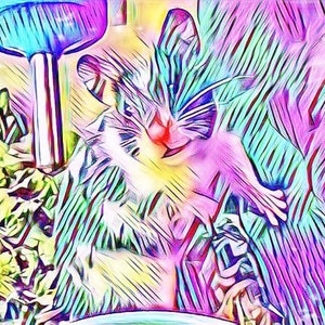 manic pixie dream hamster