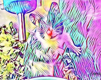 manic pixie dream hamster
