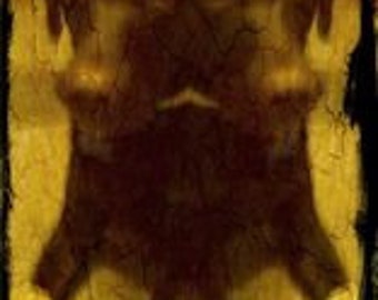 Abstract Chocolate Lab Art: Digital Dog Drawing