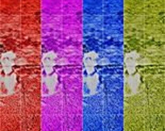 Colorful Bird Pop Art: Happy Wildlife Digital Drawing