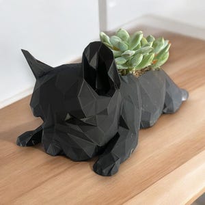 Vaso per bulldog francese. Regalo per bulldog francese, piccolo vaso, mamma di cane, bulldog francese, regalo di compleanno, inaugurazione della casa, pianta succulenta aerea, organizer da scrivania.