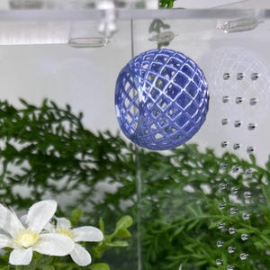Handcrafted Basket Spider Hide | 3D Printed Enclosure Decor for Jumping Spiders Bundle Magnetic