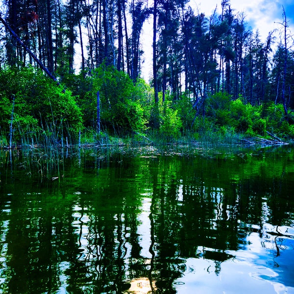 Zeden Lake Water Trees Forest Wilderness Ripples Summer Vibes Northern Saskatchewan Photograph Art Print