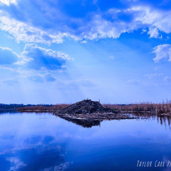 Pike Lake Beaver Dam on Lake Sun Shining Down Land of the Living Skies Saskatchewan Photograph Art Print